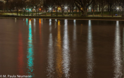 lights in the reflecting pond