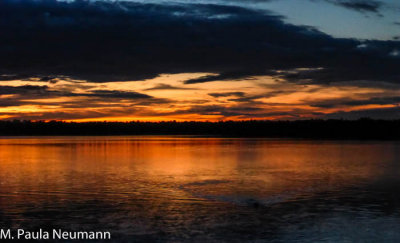 Sunset over Lake Sandoval.  Note approaching caiman in foreground