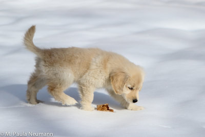 checking out the snow
