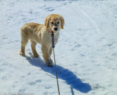 Last chance to enjoy the snow