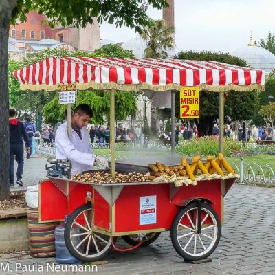 Roasted corn and chestnuts