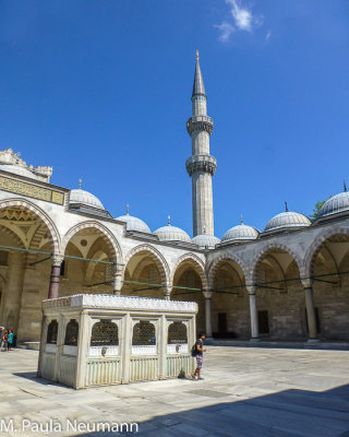 P1080369.JPG