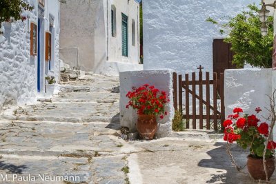 _MG_9576.JPG