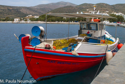 _MG_9579.JPG