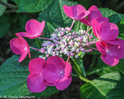 3D0A9507.jpg