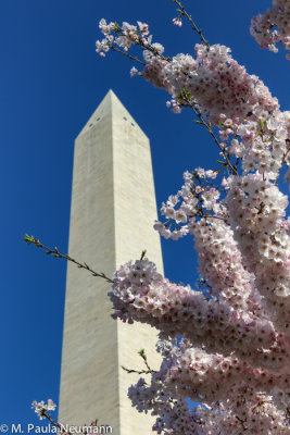Washington Monument