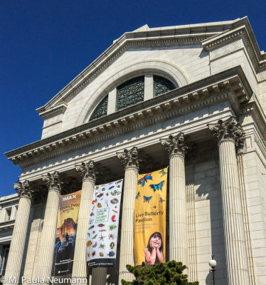 Museum of Natural History