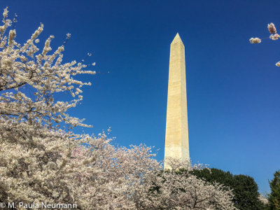 Washington Monument