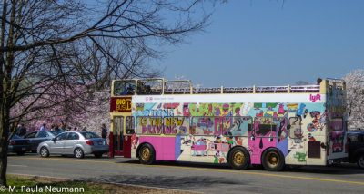 Tour bus