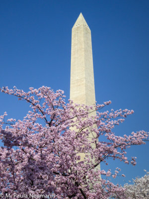 Washington Monument