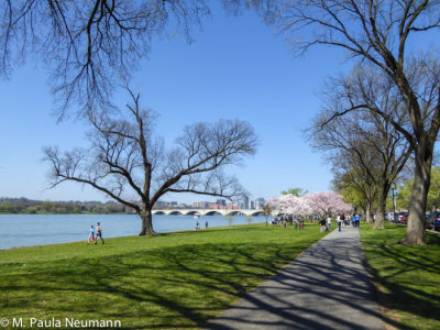view of Memorial Bridge from DC