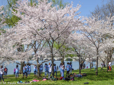 Easter weekend in DC