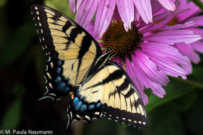 3D0A6435.jpg
