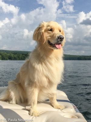 enjoying a boat ride