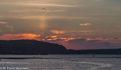 Maine2012-385.jpg