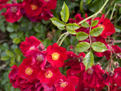 g9/53/1152553/3/155599087.B0m4SFot.jpg