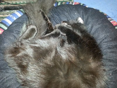 20140210_204946.jpg