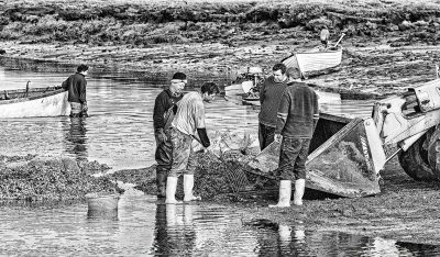 The Seafarers