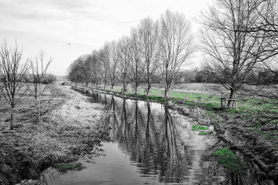 Frosty River