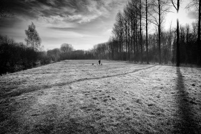 Cold January Morning