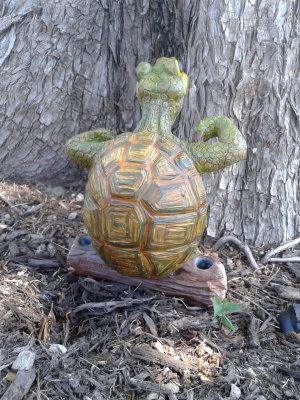 Garden Turtle