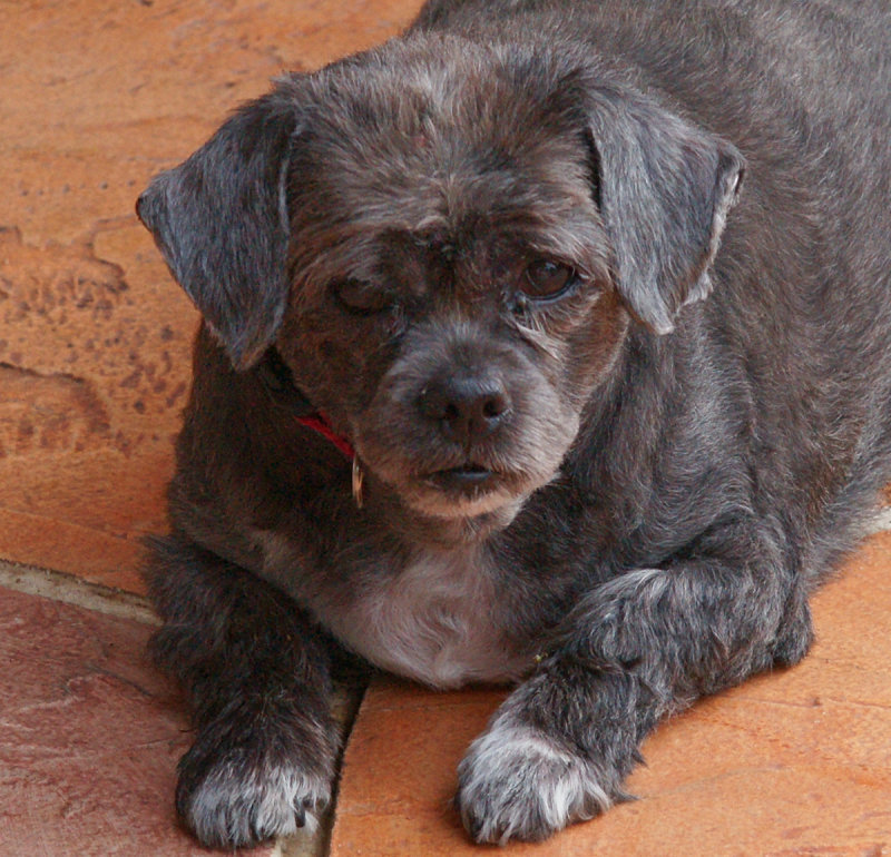 Nell3352012.jpg