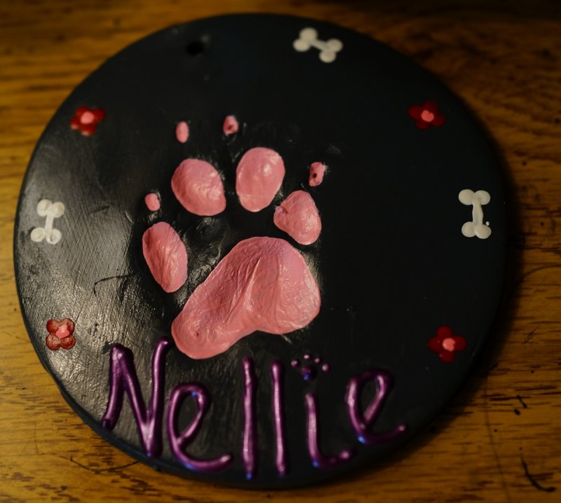Nells footprint.jpg