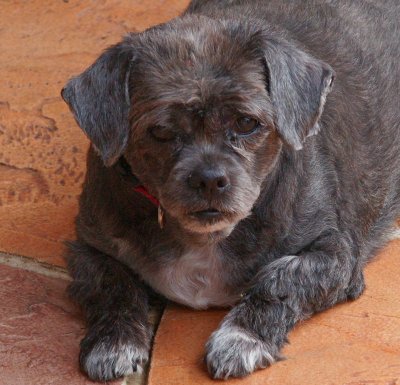 Nell3352012.jpg
