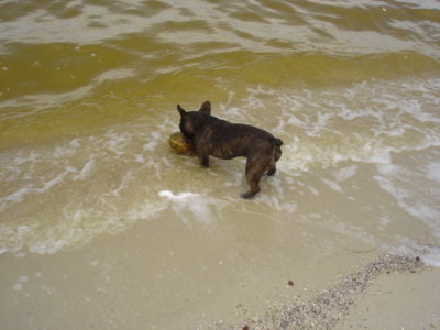 DSC07922.JPG