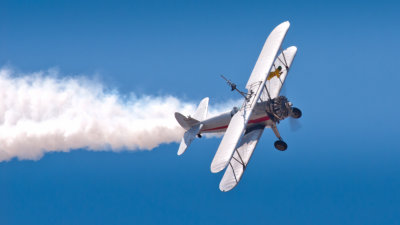 The Silver Wing Walkers