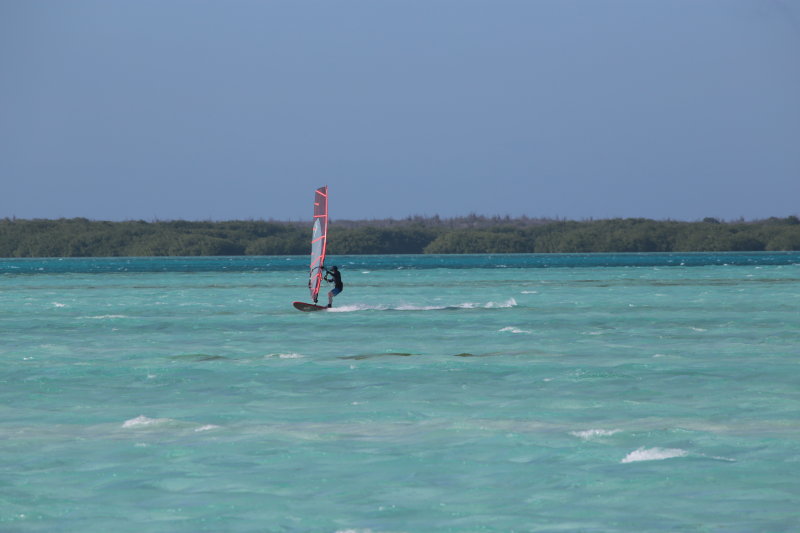 IMG_1423.JPG