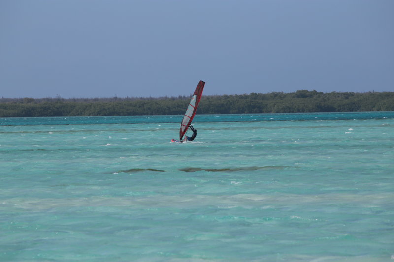 IMG_1429.JPG
