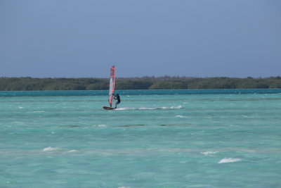 IMG_1423.JPG