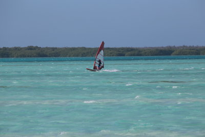 IMG_1424.JPG