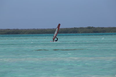 IMG_1429.JPG