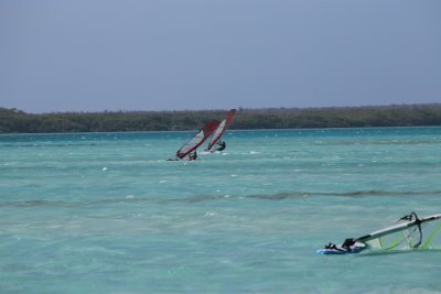 IMG_1431.JPG