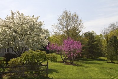 SAMPLE MEDFORD LEAS IMAGES