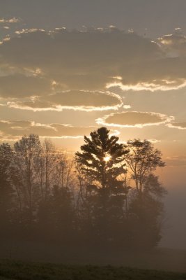 43. A foggy morning at Peacham, VT.