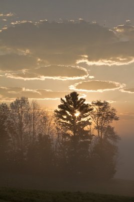 43.  A foggy morning at Peacham, VT.