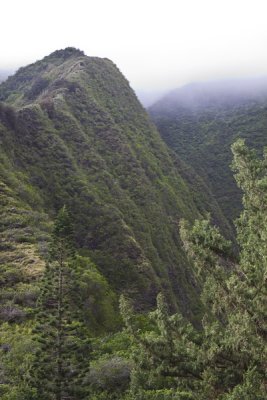 12.  In Maui's Iao Valley State Park.