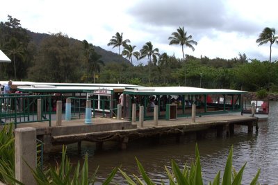 26.  A boat to cruise the Wailea River to Fern Grotto.