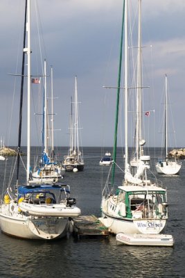 Image 02.jpg