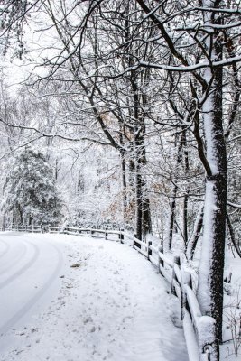 3.  A winter road at Medford Leas.