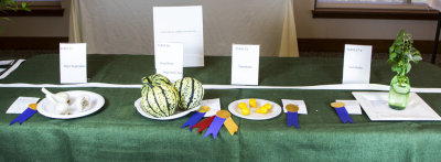 Vegetables - Best In Show Squash, Marilyn Thomas.  Firsts: Cut Herbs, Peggy Fiabane; Tomatoes, Debbie Lux; Garlic, Perry Krakora
