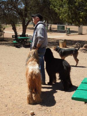 The dog park in Payson is a favorite stop