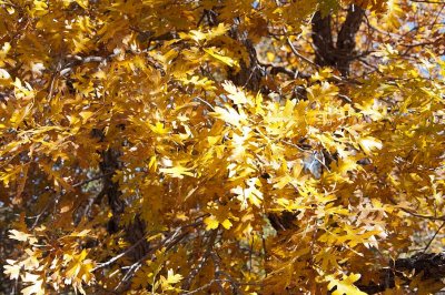 DSC_0290.jpg