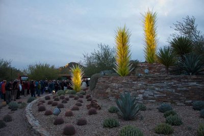 Luminarias and Chihuly at the Desert Botanical Garden