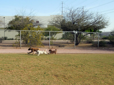 DSCN2236.jpg