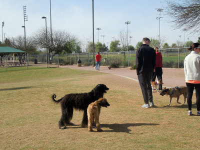 DSCN2243.jpg