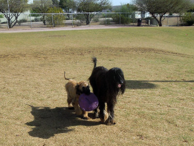 DSCN2245.jpg